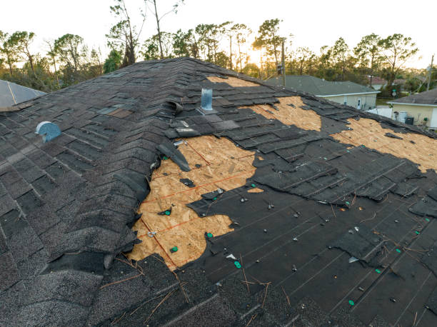 Best Green or Eco-Friendly Roofing Solutions  in Boerne, TX